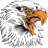 eagle30